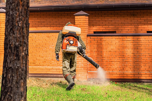 Trusted Cockroach Control service in Maumelle, AR - Nex Pest Control
